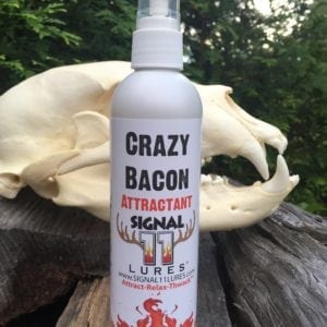 A bottle of bacon attractant sitting on top of a tree.