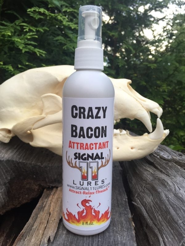 A bottle of bacon attractant sitting on top of a tree.